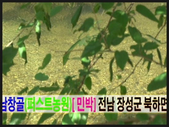 남창골농원 이미지