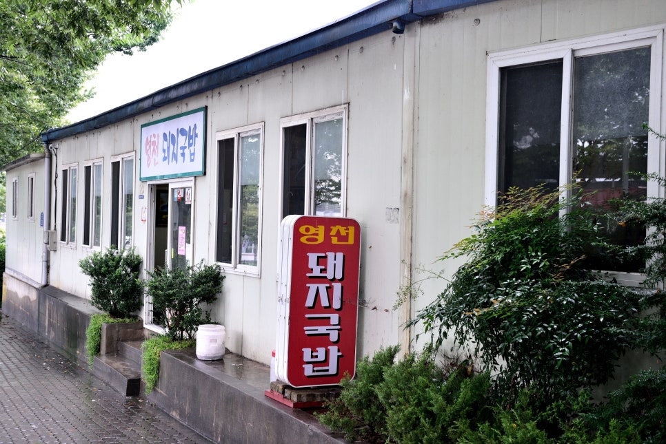 영천돼지국밥 이미지