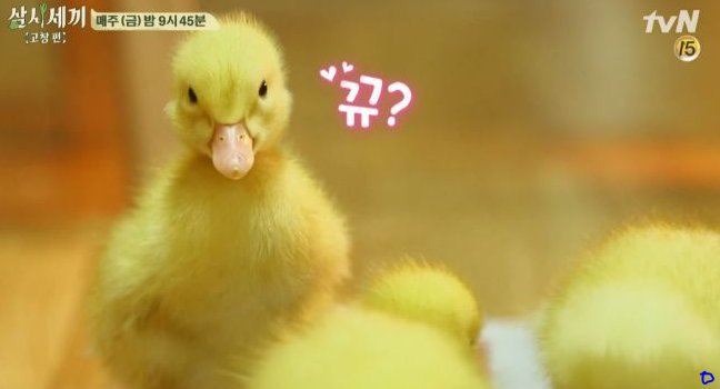 오덕후 이미지