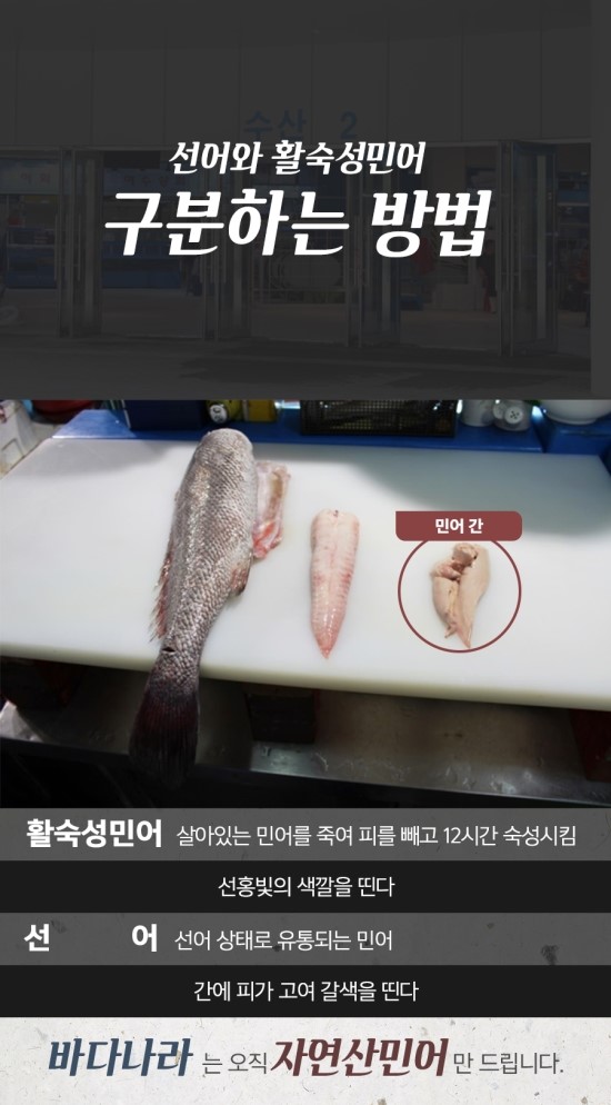 민어나라 이미지