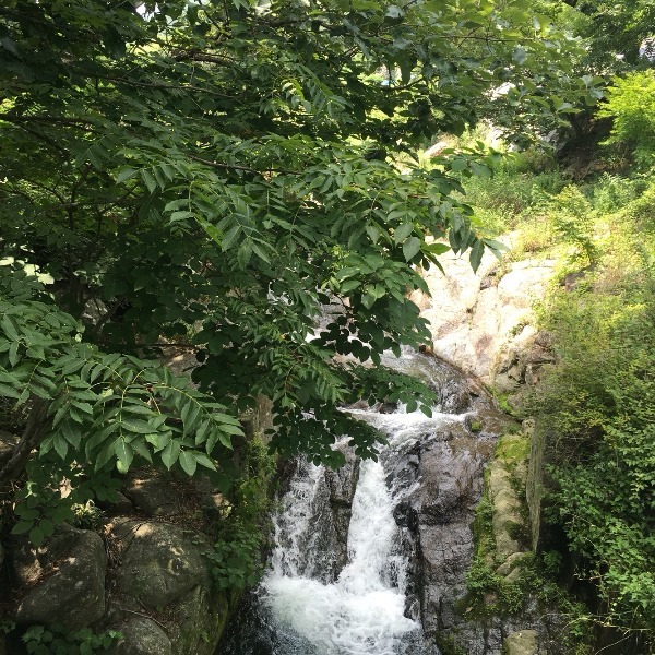 순천게스트하우스도란도란 이미지