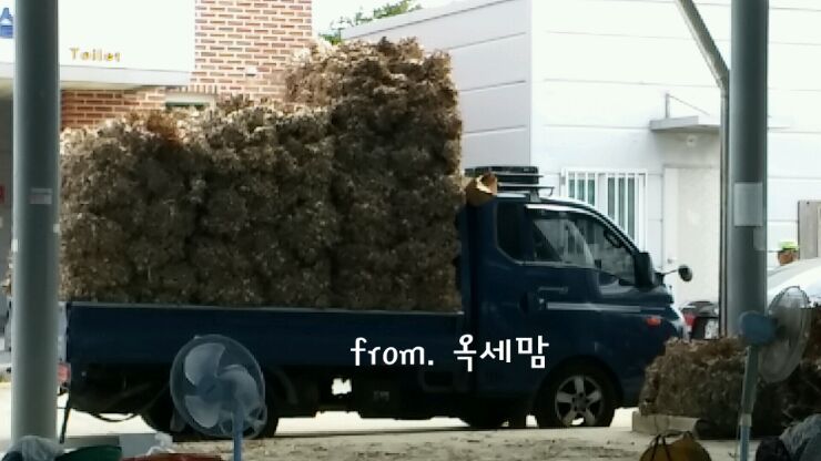 의성마늘상회 이미지