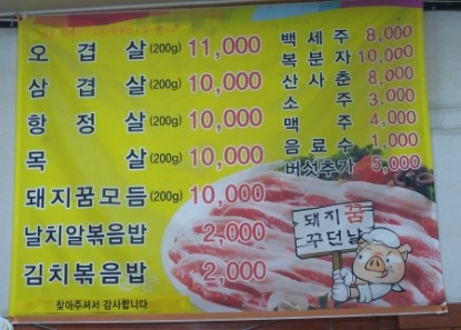 돼지꿈꾸던날 이미지