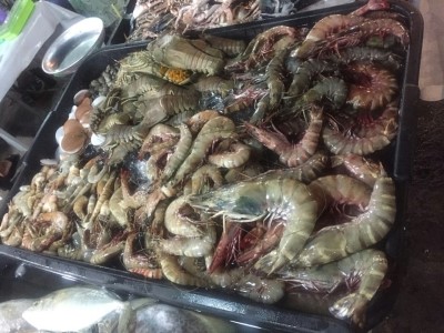 우리마켓 이미지