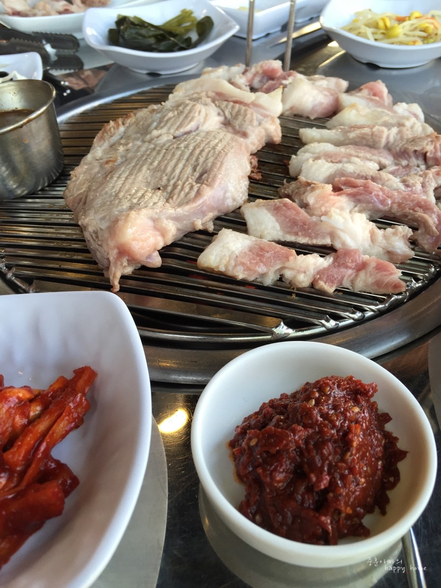 대향흑돼지 이미지