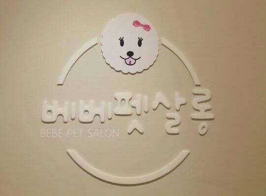 초이살롱 이미지