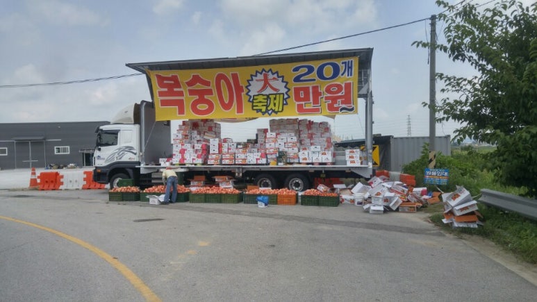 길상농원 이미지