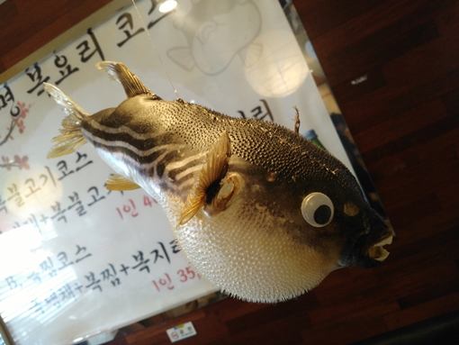 청명 복.아구 이미지