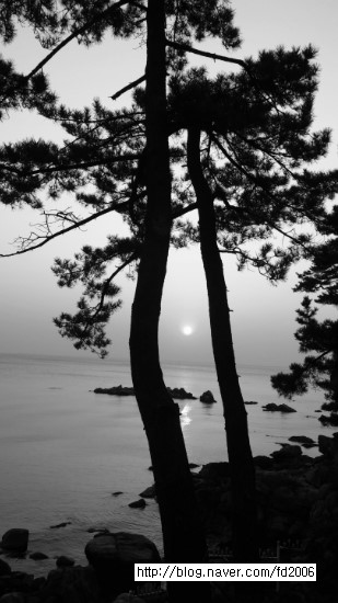 야탑동 351 (분당차병원) 이미지