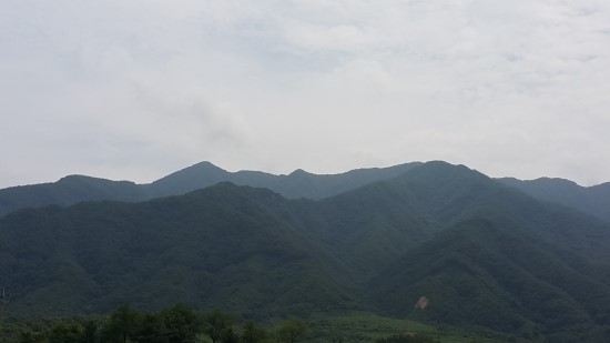 파주골이동갈비 이미지