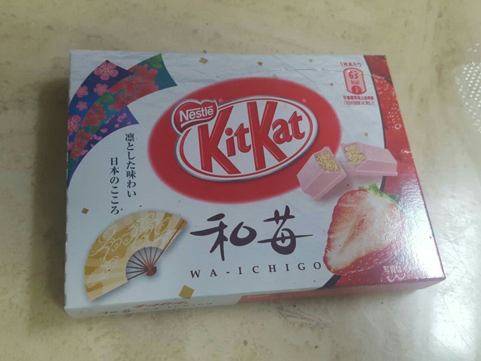 킥캣 이미지