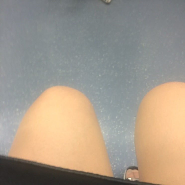 장미레코드 이미지
