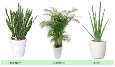 더스킨피부관리실 이미지