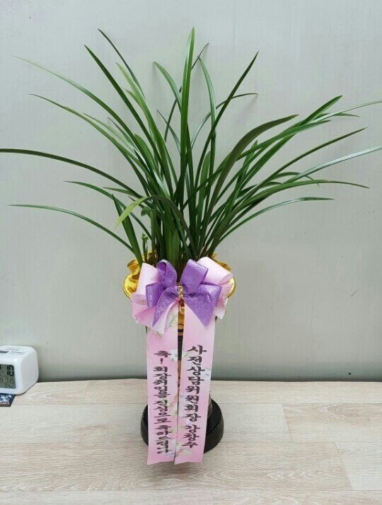 엔케이남강 이미지
