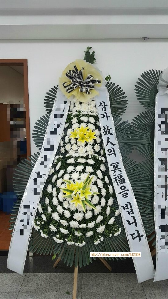 야탑동 351 (분당차병원) 이미지