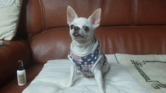 별사랑공방 이미지