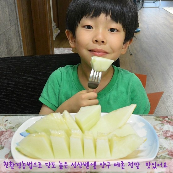벧엘농장 이미지