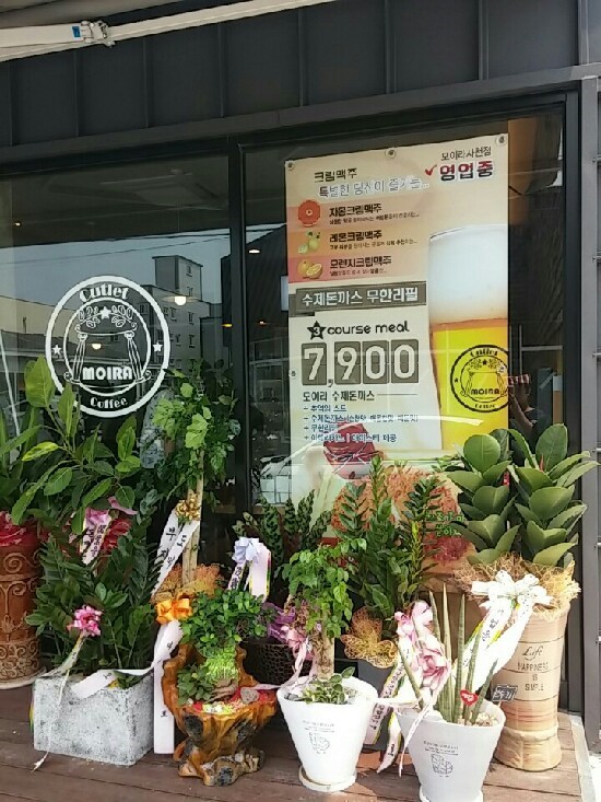 주니돈가스 이미지