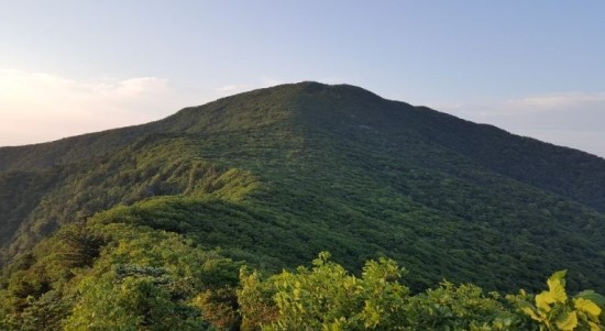 백두인력개발 이미지