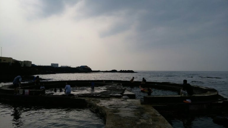 바다,달다 이미지