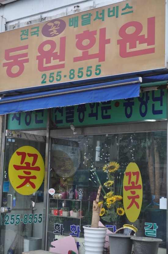 동원화원 이미지