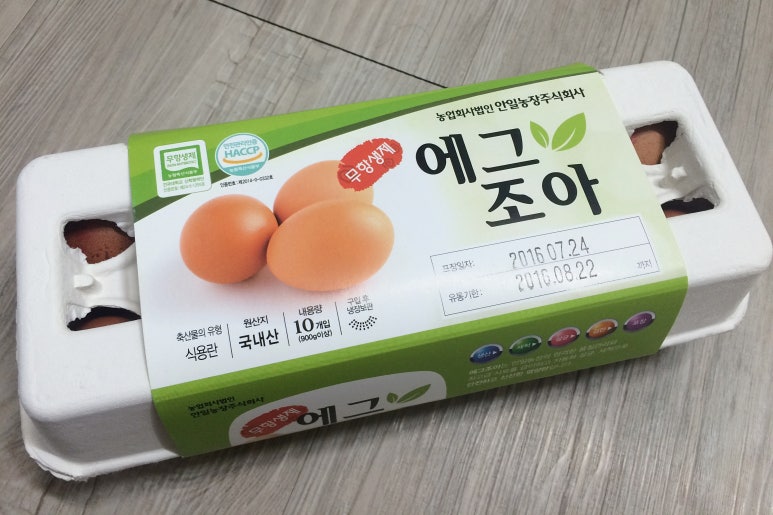 에그조아 이미지