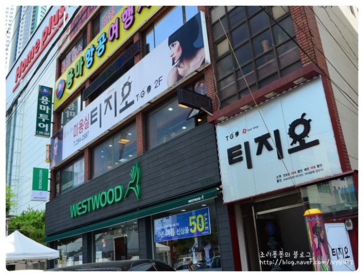 티지오플러스 이미지