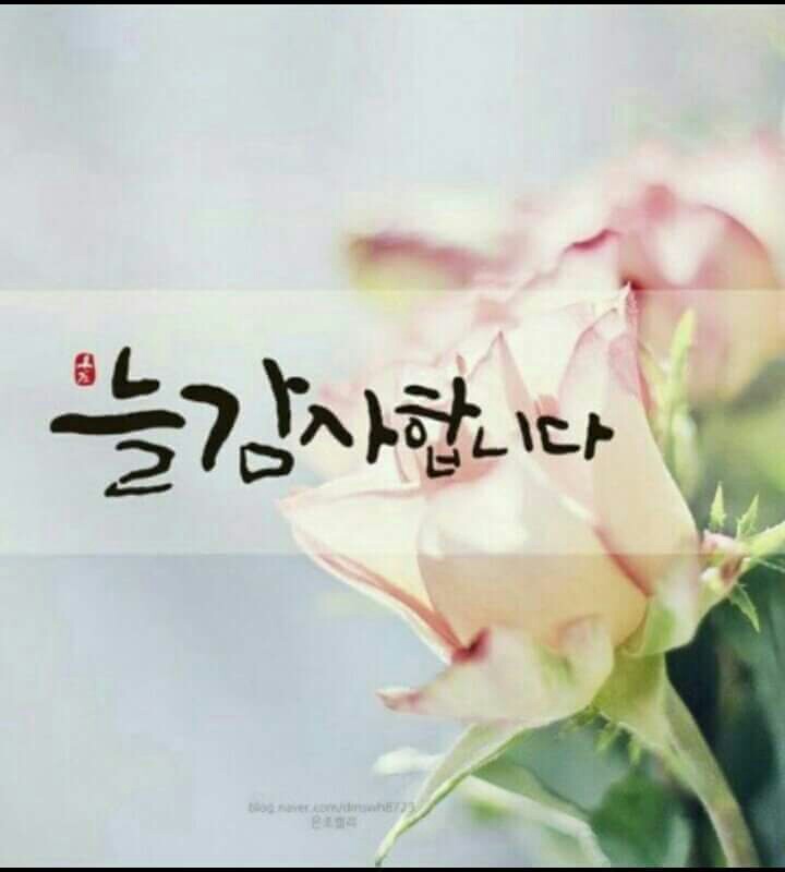 한국스피치평생교육원 이미지