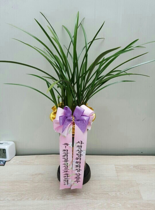 남강인력개발 이미지