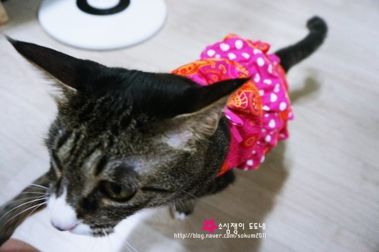 도도의옷만들기 이미지