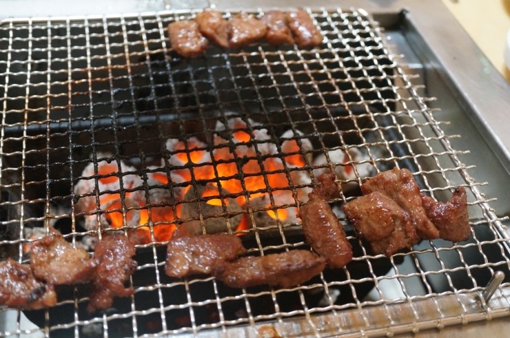 총각갈매기 이미지