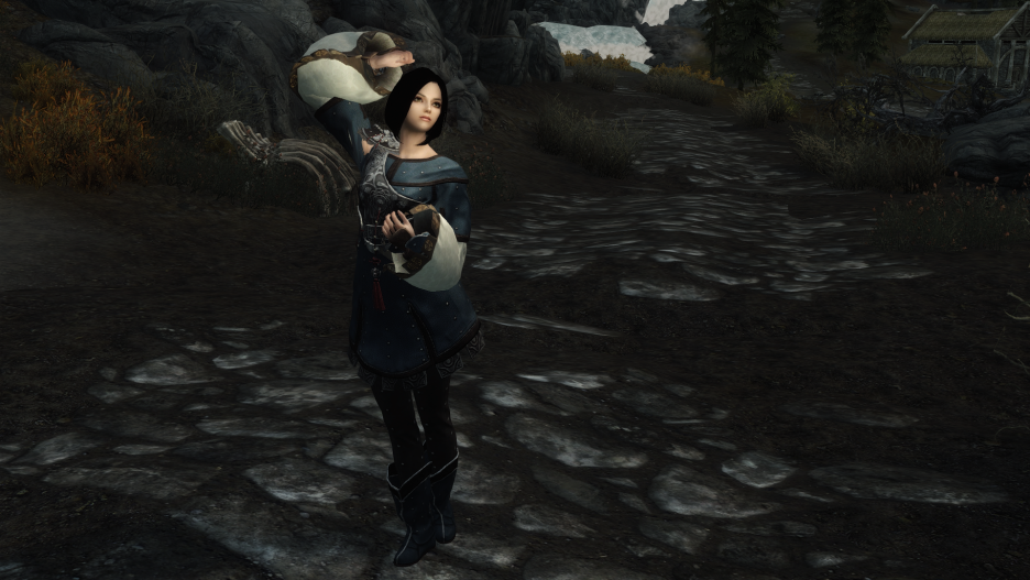 스카이림 검은 사막 모드(BDO Tamer Zereth Armor) 네이버 블로그