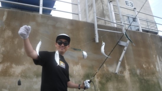 킹콩호 이미지