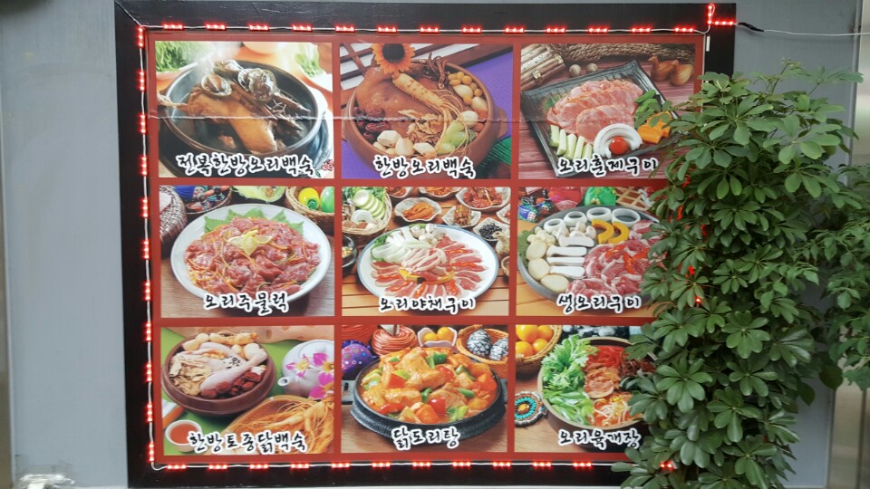 전주한방오리 이미지