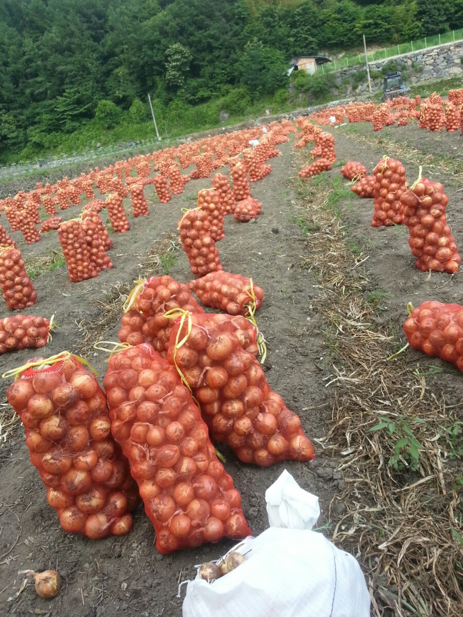 큰밭농원 이미지