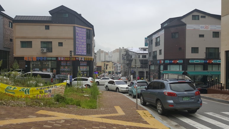 지와이 이미지