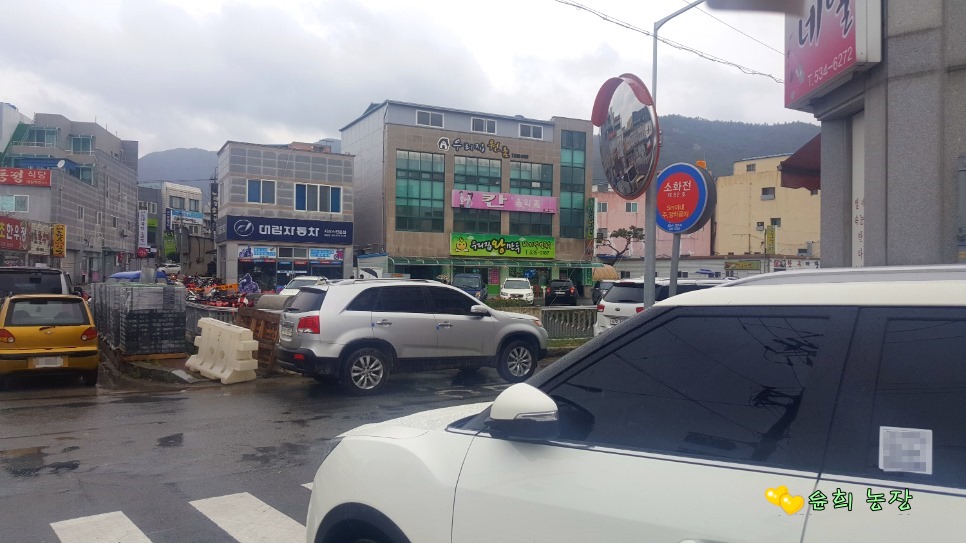 우리집왕만두바지락칼국수 이미지