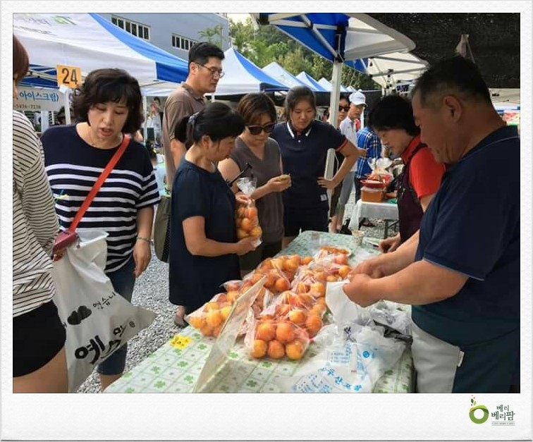 충남로컬푸드사업단 이미지