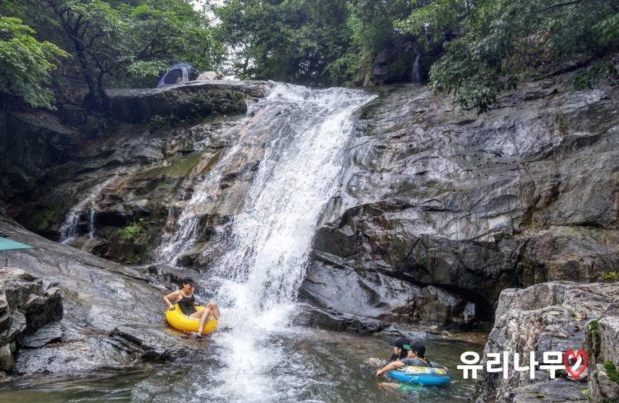 도니마니 이미지
