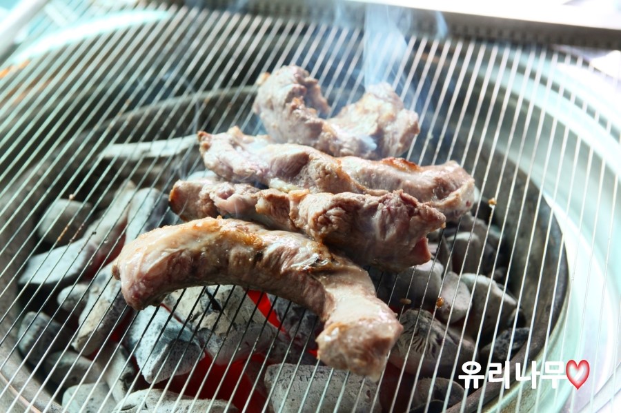 도니마니 이미지