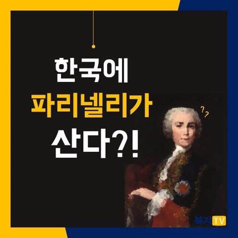 우리동네음악대 이미지