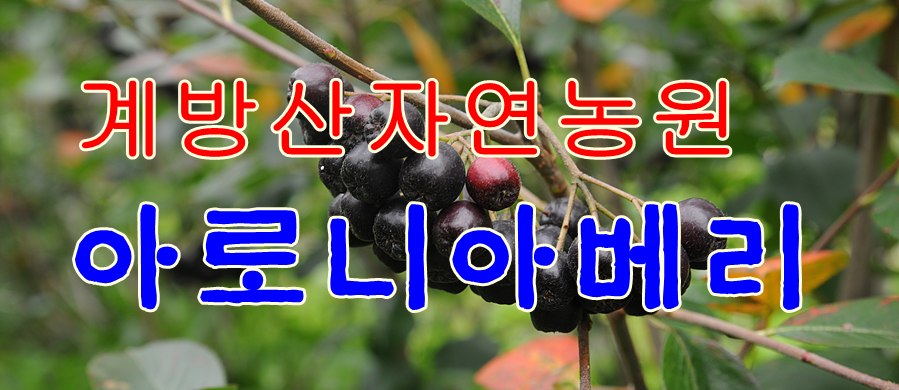계방산자연농원 이미지