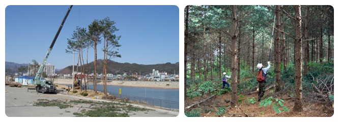 양구군산림조합 이미지