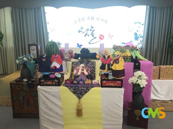 뽕이나무 이미지