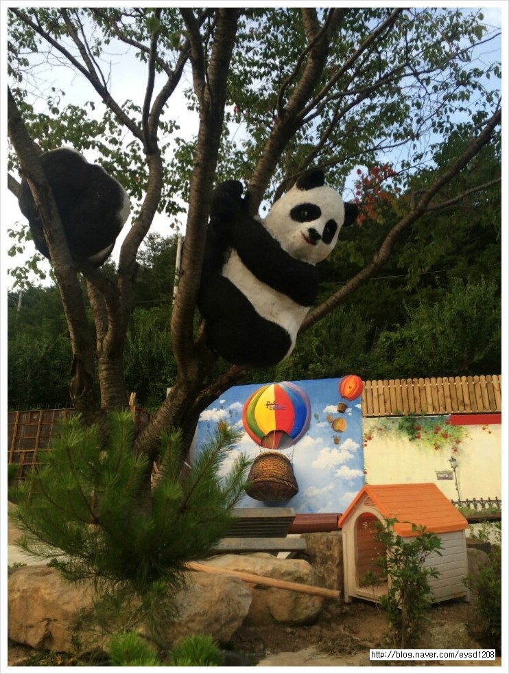 필관광하우스 이미지