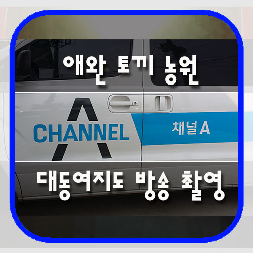 가자토끼나라 이미지