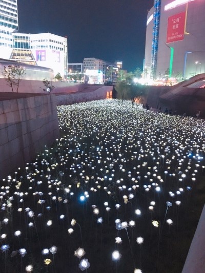 에이담 이미지