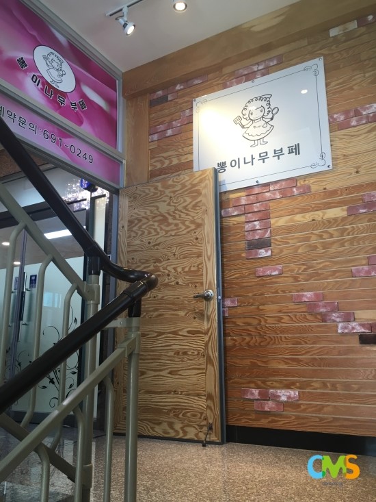 뽕이나무 이미지
