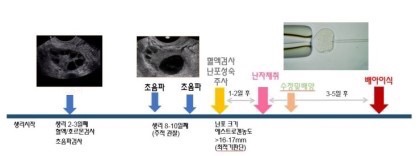 자연아부탁해 이미지