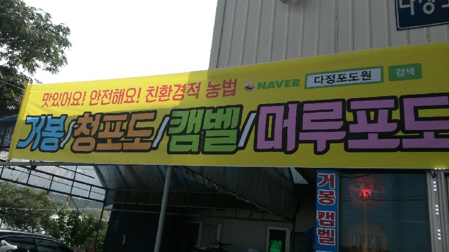 다정포도원 이미지